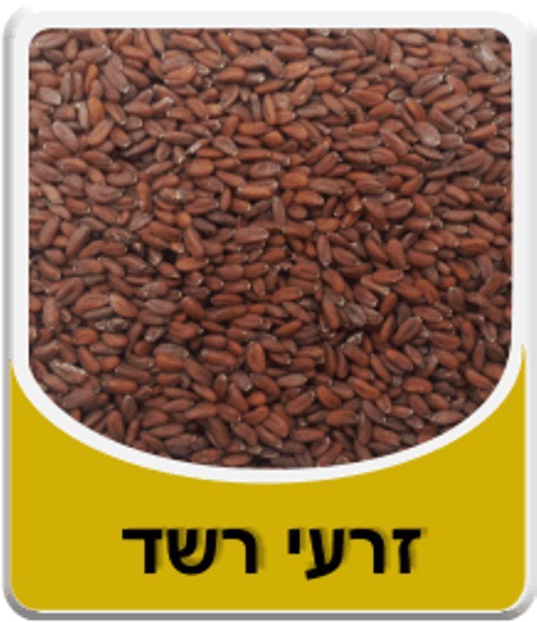 רשד זרעים שחליים תרבותיים רשאד במשקל (המחיר לקילו) – משלוחים לכל הארץ