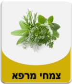 קטגוריית צמחי מרפא