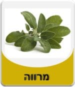 מרווה - Sage Essential Oil