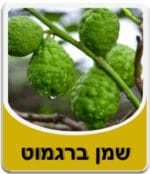 שמן ברגמוט