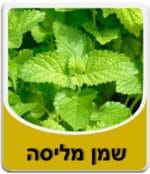 שמן מליסה - Melissa Essential Oil