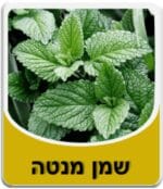 שמן מנטה - Mentha &times; piperita