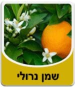 שמן נרולי - Citrus aurantium