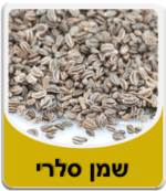 שמן סלרי - Celery Seed Essential Oil