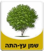 שמן עץ התה - Tea tree oil