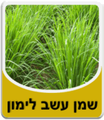 שמן עשב לימון - שמן לימונית - שמן למון גרס - Lemongrass Essential Oil