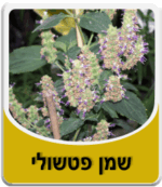 שמן פטשולי - Patchouli Essential Oil