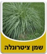 שמן ציטרונלה - Citronella Essential Oil