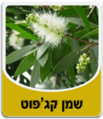 שמן קג'פוט - Cajeput Essential Oil