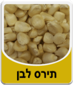 תירס לבן תימני