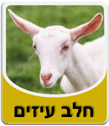 חלב עיזים
