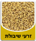 זרעי שיבולת שועל (במשקל המחיר לקילו)