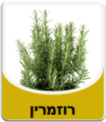 רוזמרין מיובש 50 גרם