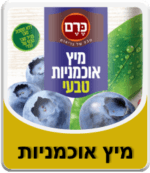 מיץ אוכמניות
