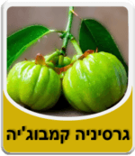 גרסיניה קמבוג'יה